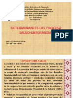 Proceso de Salud Enfermedad PDF