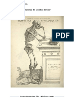 Anatomia do Membro Inferior_Luciano[1].pdf