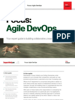 Focus Agile DevOps