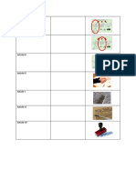 Graphic Organizer