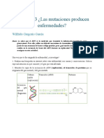 Actividad 3 Las Mutaciones Producen Enfermedades