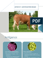 AntÃ­genos-y-antigenisidad[2]