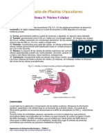 nucleo.pdf