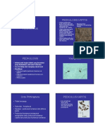 7. PEDIKULOSIS.pdf