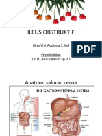 Ileus Obstruktif