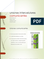 Uniones Intercelulares Comunicantes