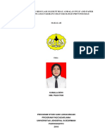 Pelanggaran Regulasi Oleh Pt Riau Andalan Pulp and Paper