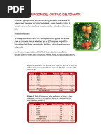Descripcion Del Cultivo Del Tomate