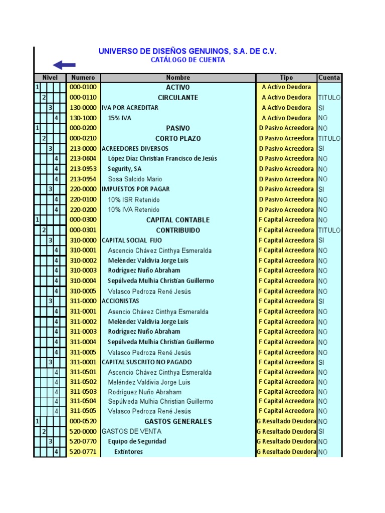 6 Catalogo de Cuentas | PDF | Contabilidad financiera | Economias