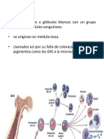 03. HEMATOFISIOLOGIA CLASE 3 LEUCOCITOS AEMH.pdf
