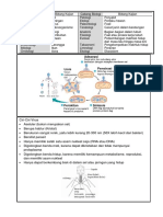 SA G 10 Biologi