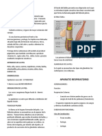 Diapos Histologia