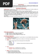 Download PSEUDOMONAS by Jos Gabriel Quiroga Villagra SN37587740 doc pdf