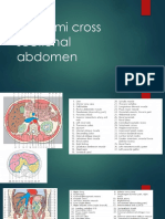 Cross-Sectional Abdomen CT Scan Findings: Kidney, Liver, Pancreas