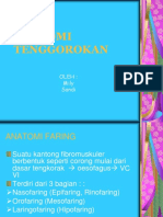 ANATOMI-TENGGOROKAN 2