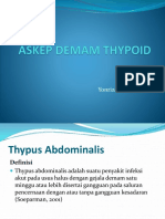 Typus Abd