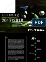 R-GOL Katalog17x18