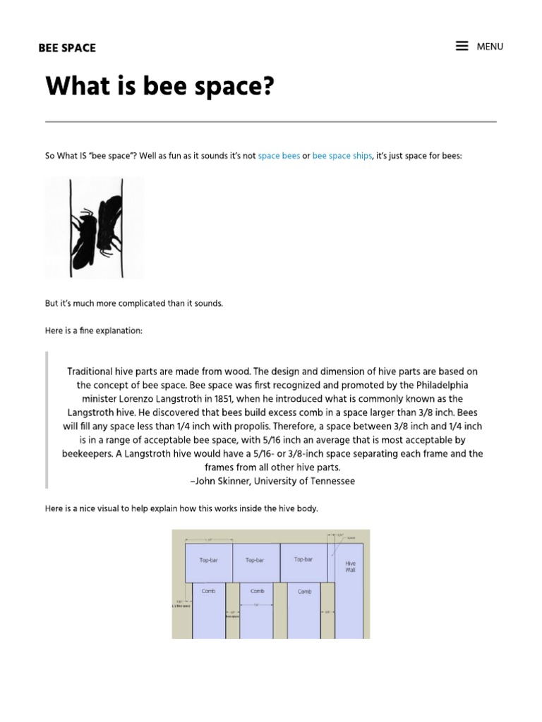 Understanding Bee Space , Bee Nutrition: Understanding What Bees Eat ...