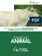 faenamiento.pdf