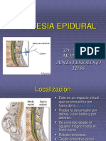 Anestesia Epidural y Caudal