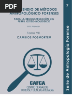 Download TAFONOMIA by Keren Martinez SN37590386 doc pdf