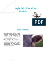 Fisiología Del Oído Bovino