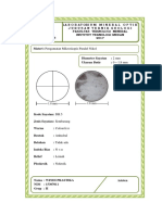 Form Asli Mineral Optik Windi