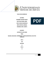 Nulidad Anulabilidad Confirmacion y Combalidacion Del Acto Juridico