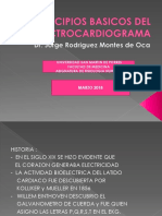 Principios Básicos Del Electrocardiograma