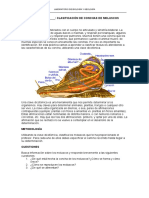 conchas moluscos.pdf