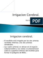irrigacioncerebral1-130414150447-phpapp02