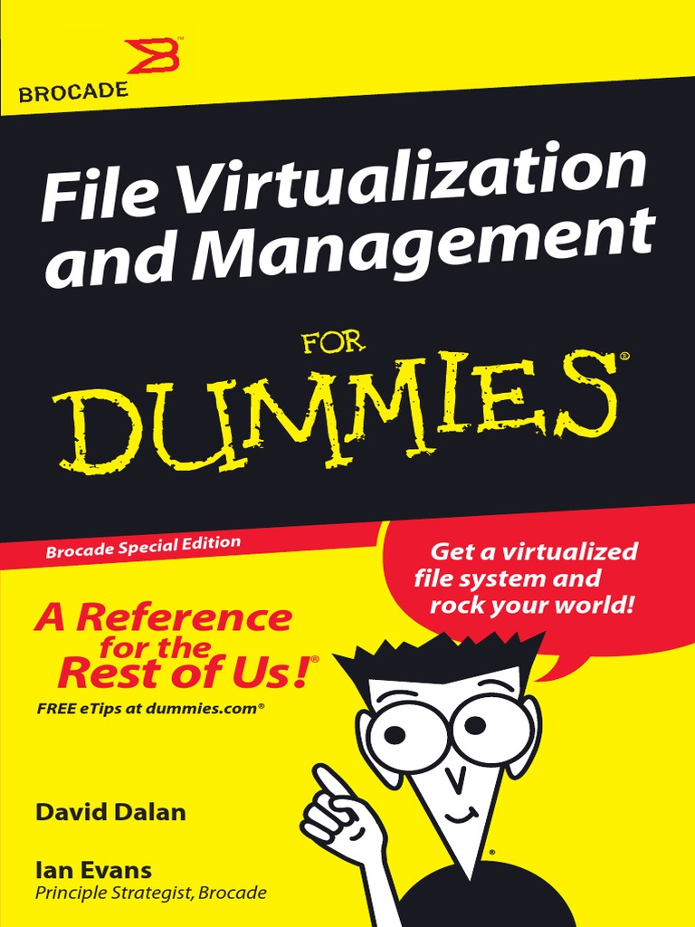 File Virtualization Management for Dummies BK 00 Virtualization