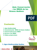 Bio Diversidad, Conservación y Uso de Los RRGG de Los Granos Andinos