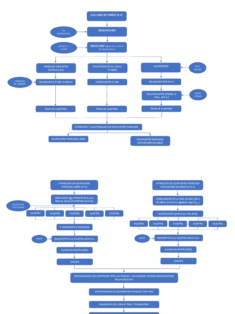 Diagrama de Bloques Bioprocesos Química analítica Química