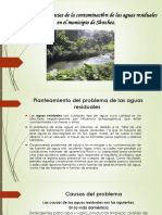 Causas y Consecuencias de La Contaminación de Las Aguas Residuales21