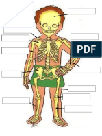 SistemaOseoME PDF