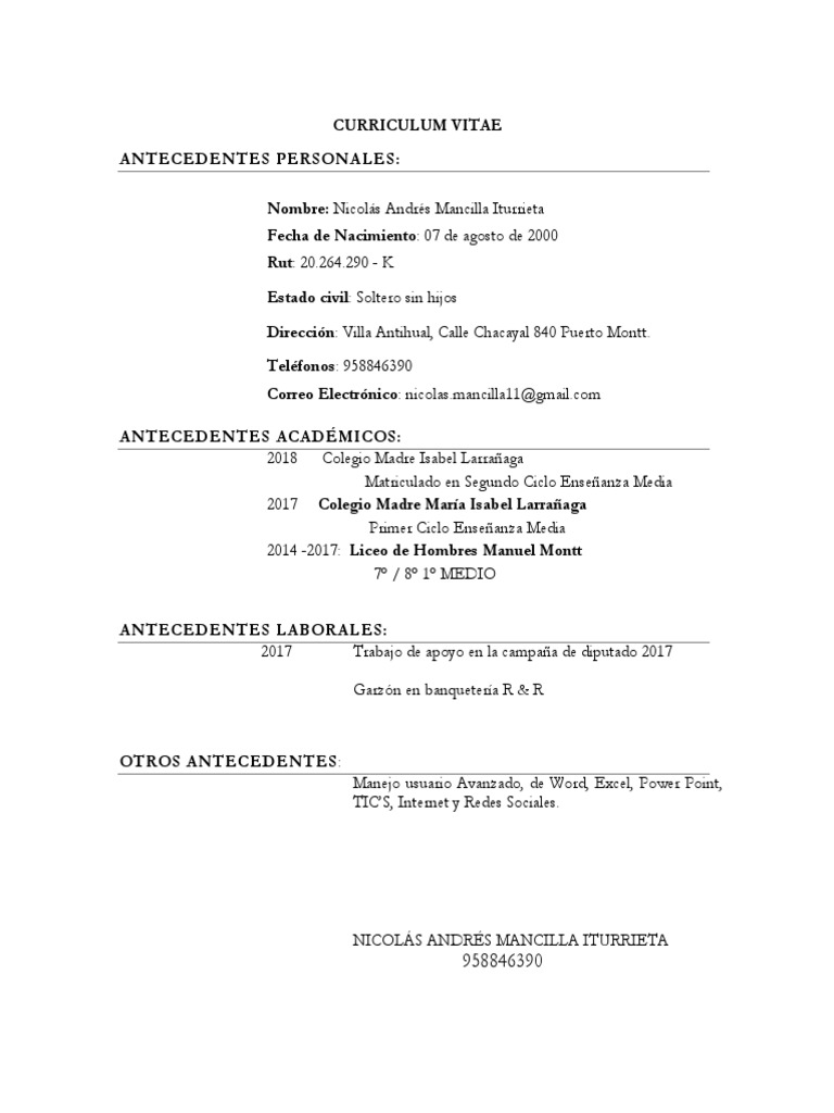 curr-culo-nico-pdf