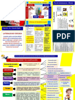 Triptico Lateralidad Cruzada-iespp-piura 2018