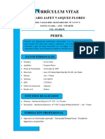 Curriculum Alvaro - Docx Completo A