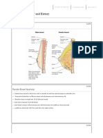 11.2 Breast Anatomy and History