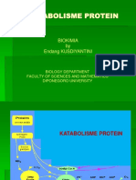 Katabolisme Protein