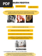 Engaños Perceptivos