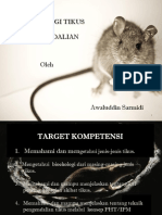 Pengendalian Tikus Aspphami Dki Jakarta