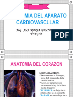 ANATOMIA DEL APARATO CARDIOVASCULAR - copia.pptx