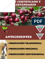 8-CAFES CERTIFICADOS Y SUS ESTANDARES (1).pdf