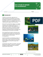 Clase 1 PDF