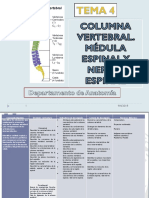 TEMA 4 COLUMNA VERTEBRAL. MÉDULA ESPINAL Y NERVIO ESPINAL