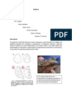 Anfibios Resultados