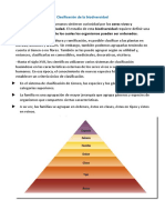 Clasificación de La Biodiversidad