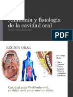 Anatomia y Fisiología de La Cavidad Oral